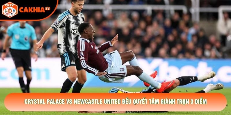 Crystal Palace vs Newcastle United đều quyết tâm giành trọn 3 điểm Crystal Palace vs Newcastle United đều quyết tâm giành trọn 3 điểm