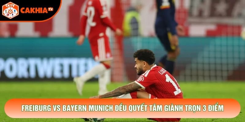 Freiburg vs Bayern Munich đều quyết tâm giành trọn 3 điểm