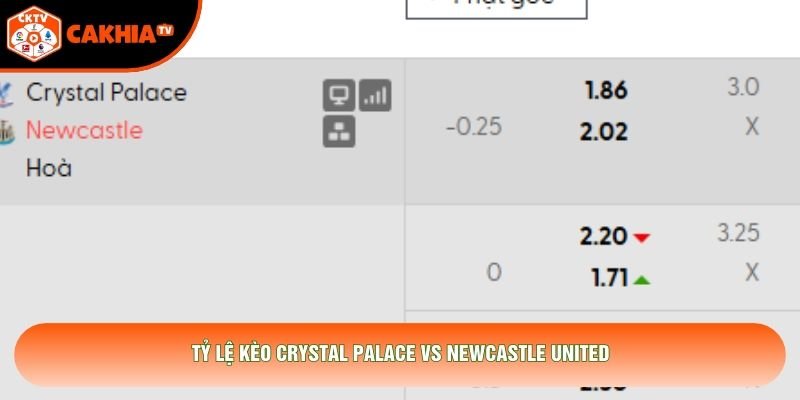 Tỷ lệ kèo Crystal Palace vs Newcastle United Tỷ lệ kèo Crystal Palace vs Newcastle United