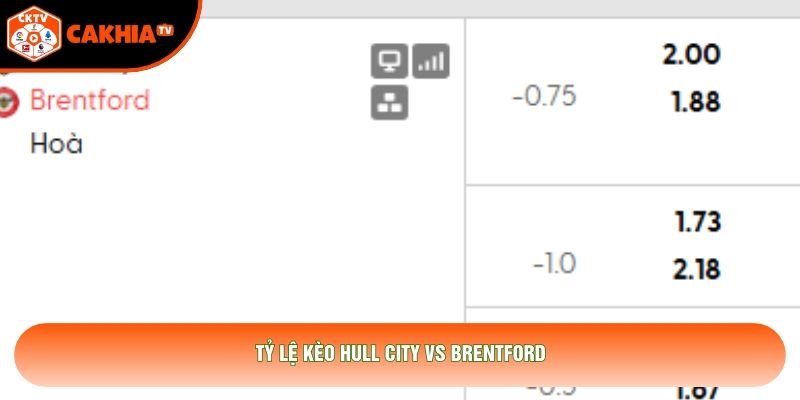 Tỷ lệ kèo Hull City vs Brentford