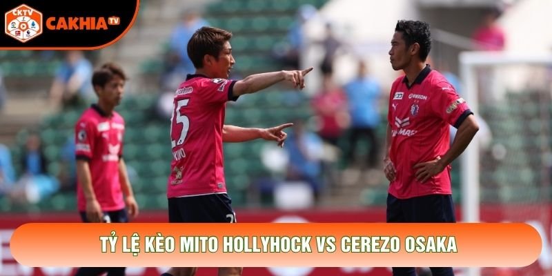 Tỷ lệ kèo Mito HollyHock vs Cerezo Osaka Tỷ lệ kèo Mito HollyHock vs Cerezo Osaka
