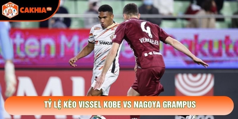 Tỷ lệ kèo Vissel Kobe vs Nagoya Grampus