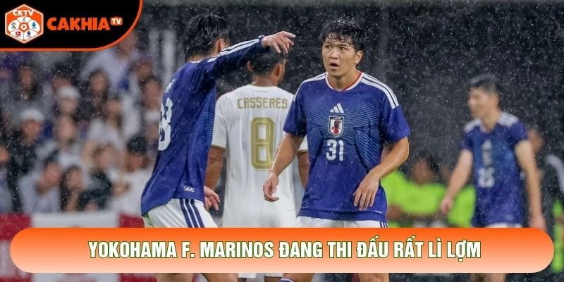 Yokohama F. Marinos đang thi đấu rất lì lợm Yokohama F. Marinos đang thi đấu rất lì lợm